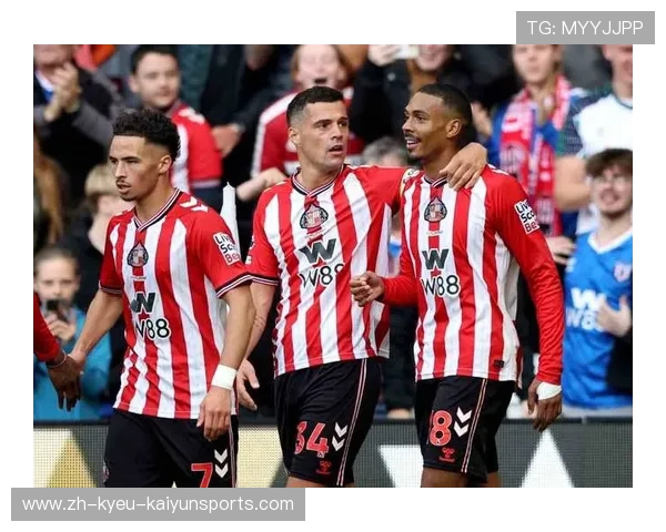 英超球队的球迷职业身份探索