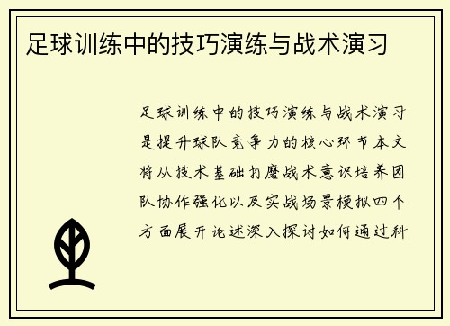 足球训练中的技巧演练与战术演习